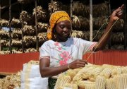 Rwanda Faces Growing Food Gap as Imports Soar, Officials Say
