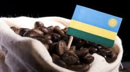 Rwanda coffee ranks among top five at global exhibition in California