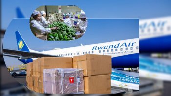 Rwanda Earns Nearly $14 Million From Agricultural Exports in Five Days