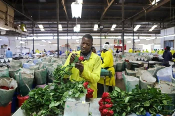 Rwandan exporters hit as Middle East conflict disrupts air travel, trade