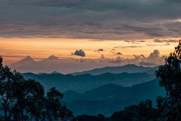Rwanda launches $6.7 million effort to restore Nyungwe national park